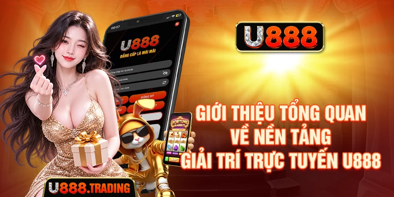 Tổng quan hệ thống nội dung và chuyên mục giải trí trực tuyến